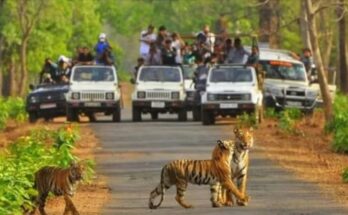 sariska alwar