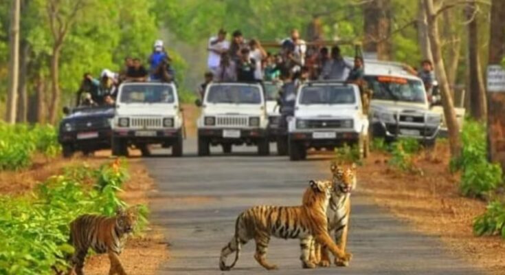 sariska alwar