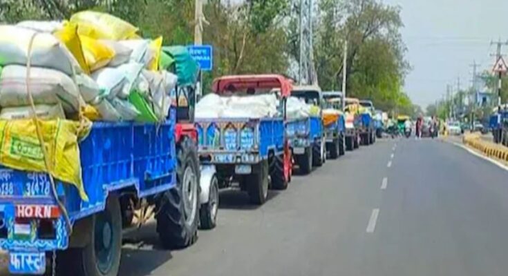 रेवाड़ी, कोसली और बावल अनाज मंडी में केवल इन गाँवों की सरसो की होगी खरीद, यहां पढिए दो दिन शेड्यूल