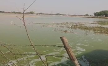 Dharuhera-खेतों में पहुंचा साहबी बैराज का दूषित पानी, मतदान बहिष्कार की दी चेतावनी