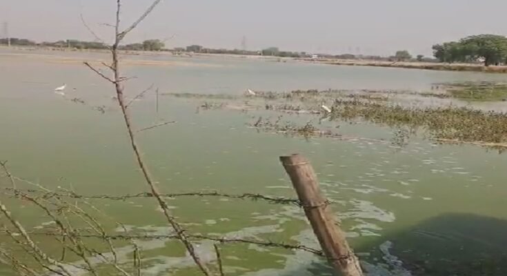 Dharuhera-खेतों में पहुंचा साहबी बैराज का दूषित पानी, मतदान बहिष्कार की दी चेतावनी