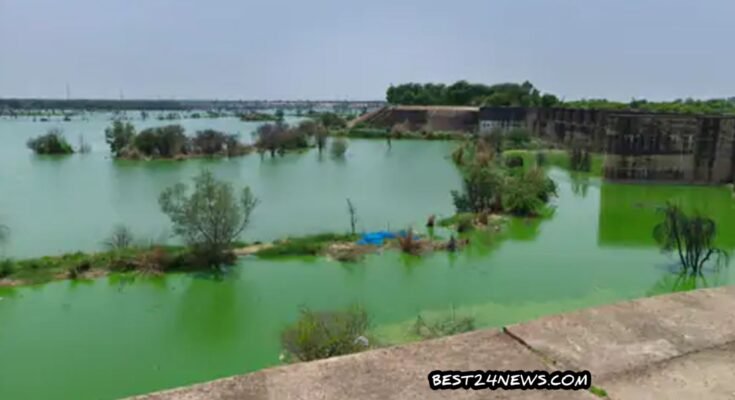 MASANI BERAJ PANI