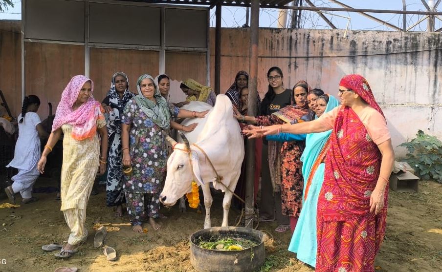 Gopashtami:  गौमाता की पूजा की क्या है परंपरा, जानिए गौ-सेवा से कैसे दूर होती हैं ग्रह दोष 