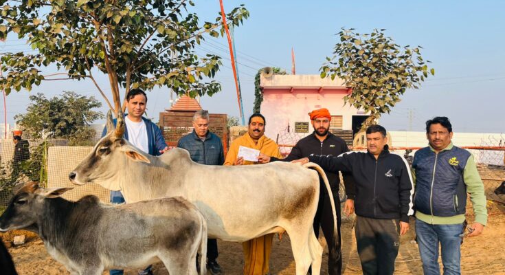 गोप्रेमी संघ गुरुग्राम ने नंदू गोशाला धारूहेड़ा में किया आर्थिक सहयोग