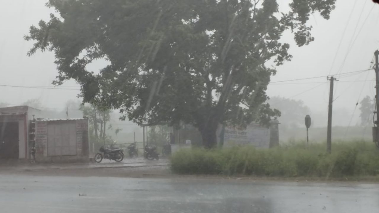 Weather Alert: "उत्तर भारत में बारिश, ओलावृष्टि और घने कोहरे ने बढ़ाई परेशानी, जानिए यूपी-बिहार, राजस्थान का मौसम"