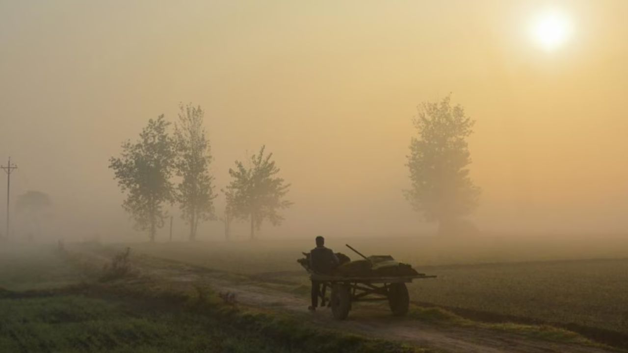 Haryana weather update: घना कोहरा, दृश्यता शून्य