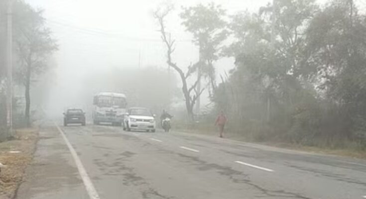 Haryana weather update: घना कोहरा, दृश्यता शून्य