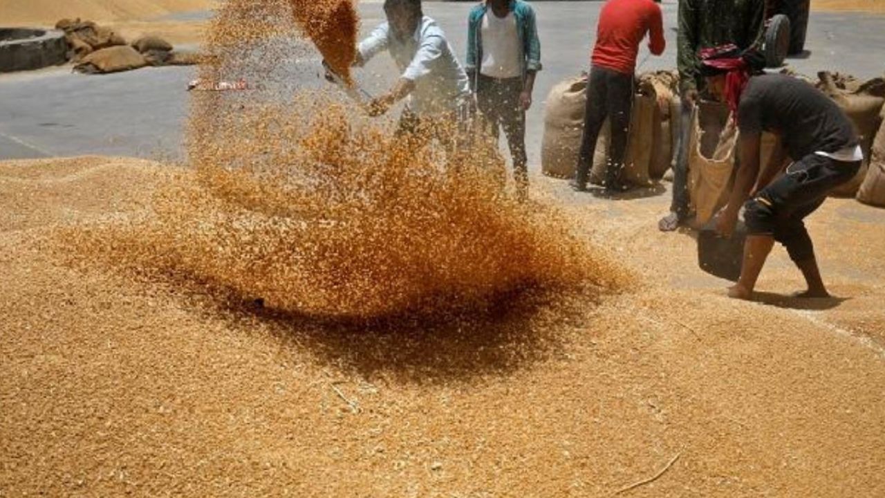 Sirsa market rate: हरियाणा की सिरसा मंडी में आज के ताजा भाव जानें, एक क्लिक में देखें