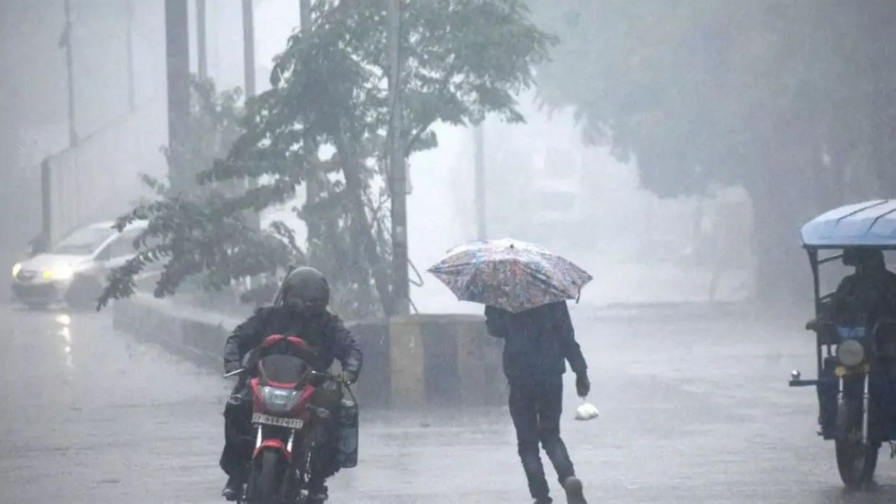 Weather Alerts: कल हरियाणा सहित इन राज्यों में होगी भारी बारिश, मौसम विभाग ने जारी किया अलर्ट..!