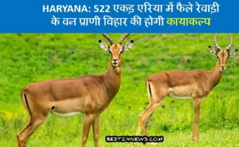 522 एकड़ एरिया में फैले रेवाड़ी के वन प्राणी विहार की होगी कायाकल्प