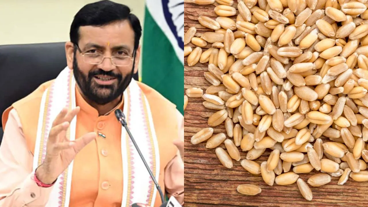Haryana News: हरियाणा सरकार का बड़ा फैसला, गेहूं बीज सब्सिडी के लिए अब सरपंच की मोहर जरूरी