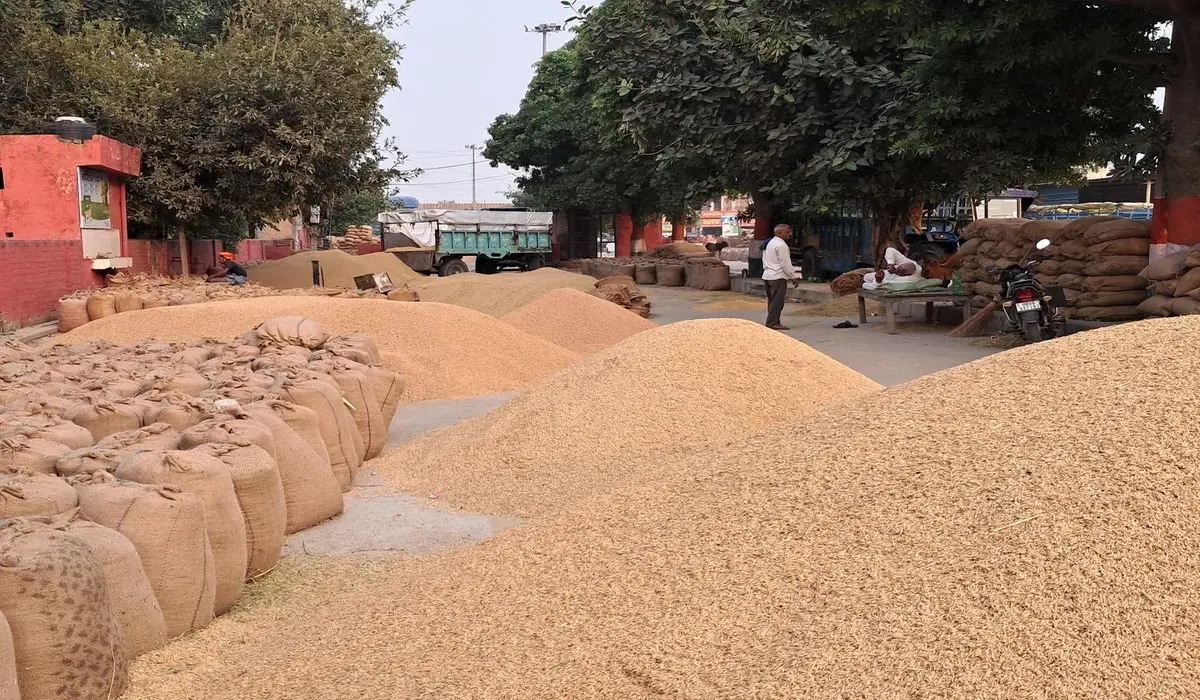 Haryana News: धान खरीद सीजन में बड़ा फर्जीवाड़ा, करनाल में राइस मिल और मंडी निरीक्षक घोटाले में फंसे