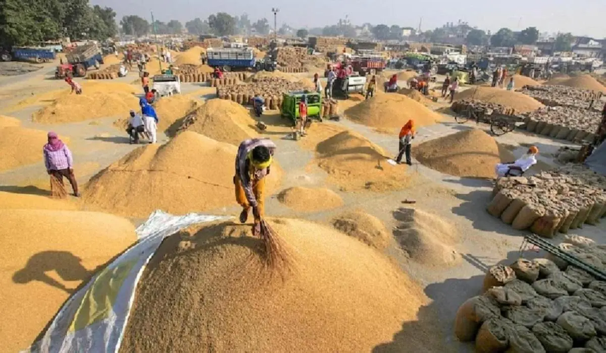 Haryana News: सिरसा में विकास की रफ्तार तेज, नए साल पर सरकार देगी दो बड़ी सौगातें – जानिए क्या है खास