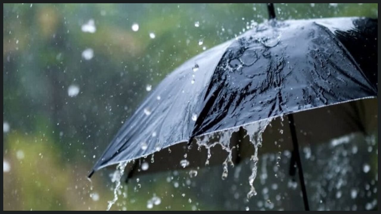 Haryana Weather Update: