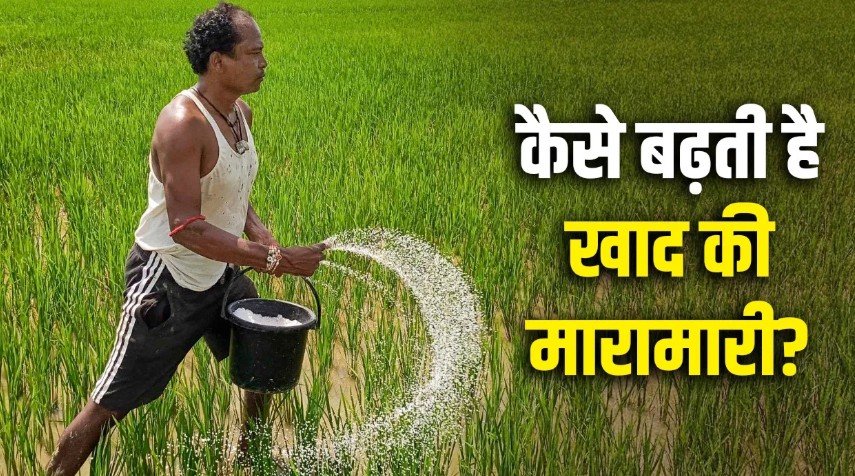 Why is there a fertilizer crisis in the country? Know how fertilizer reaches the farmers?