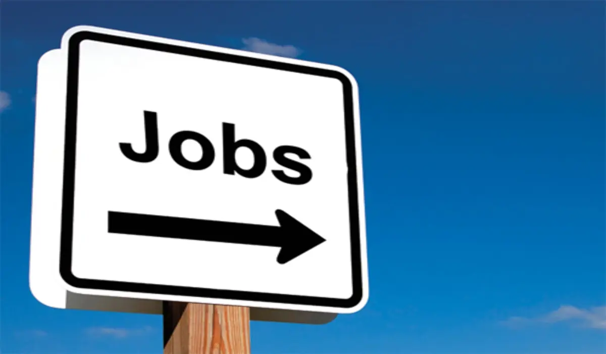 NHM Fatehabad Jobs: नर्स, डॉक्टर और काउंसलर के पदों पर सुनहरा मौका, जल्दी करें आवेदन, जानें पूरी जानकारी