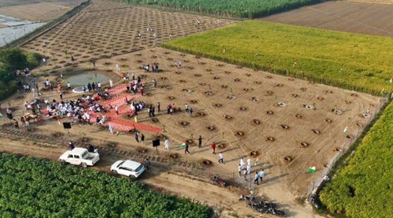 हरियाली की मुहिम, सोनीपत के इस गांव में लगाया हरियाणा का 27वां ऑक्सीजन बाग