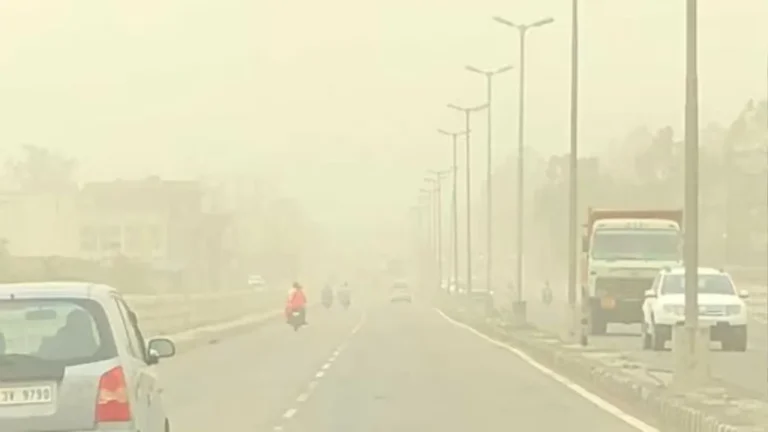 Haryana: बहादुरगढ़ में सड़क की धूल बनी प्रदूषण की सबसे बड़ी वजह, प्रदूषण बोर्ड ने NHAI को भेजा नोटिस