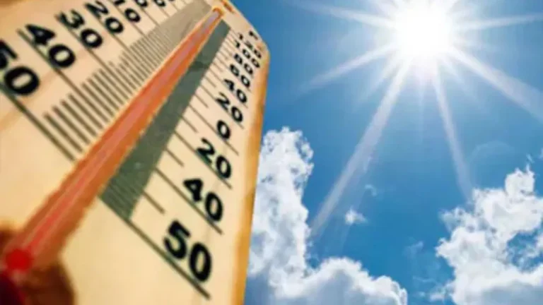 Haryana Weather: हरियाणा में तेजी से बढ़ रहा तापमान, गेहूं की फसल को नुकसान की आशंका