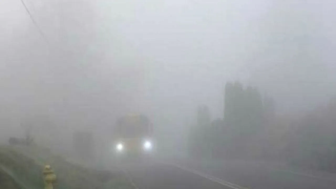 Haryana हाईवे पर बेवजह खड़ी गाड़ियां खतरे में! DGP ने जारी किया सख्त निर्देश, रात्री गश्त बढ़ाई जाएगी