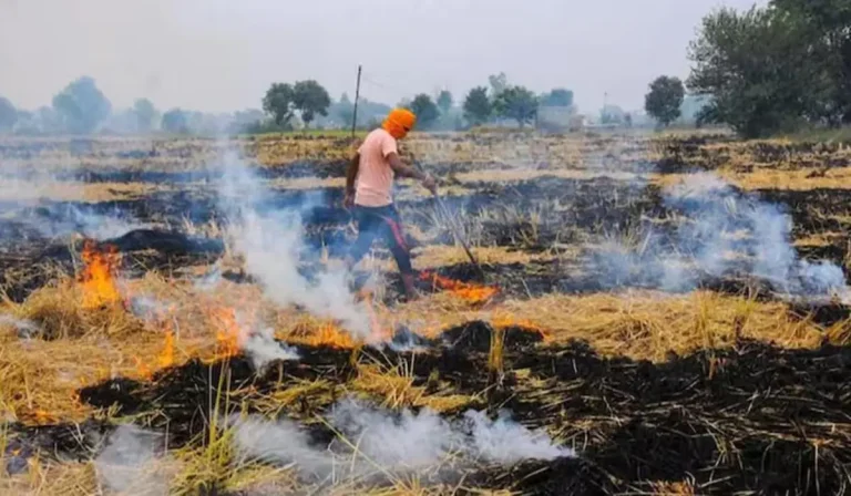 Haryana News: किसानों के लिए खुशखबरी, पराली जलाए बिना बनेगी खाद, सरकार देगी फ्री डी-कम्पोजर