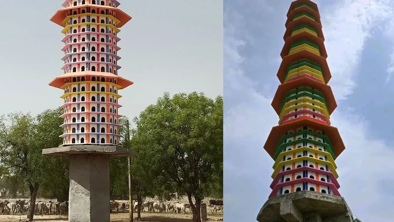 Haryana News: गुरुग्राम में बनाए जाएंगे आधुनिक पक्षी घर, हजारों पक्षियों को मिलेगा नया आशियाना