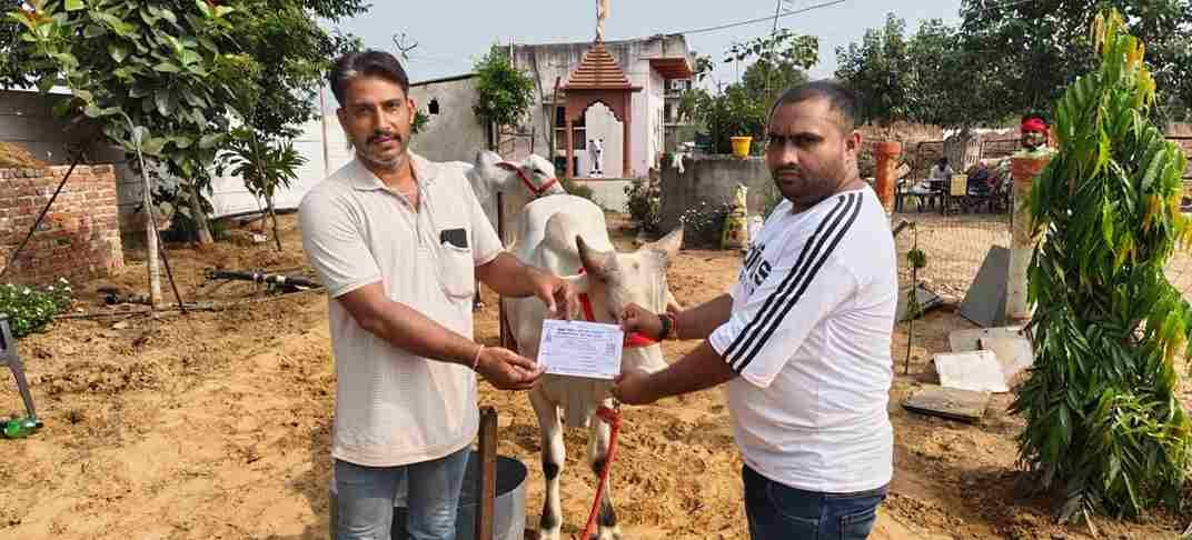 नंदू गोशाला धारूहेड़ा में समाजसेवी मोनू ने किया सहयोग