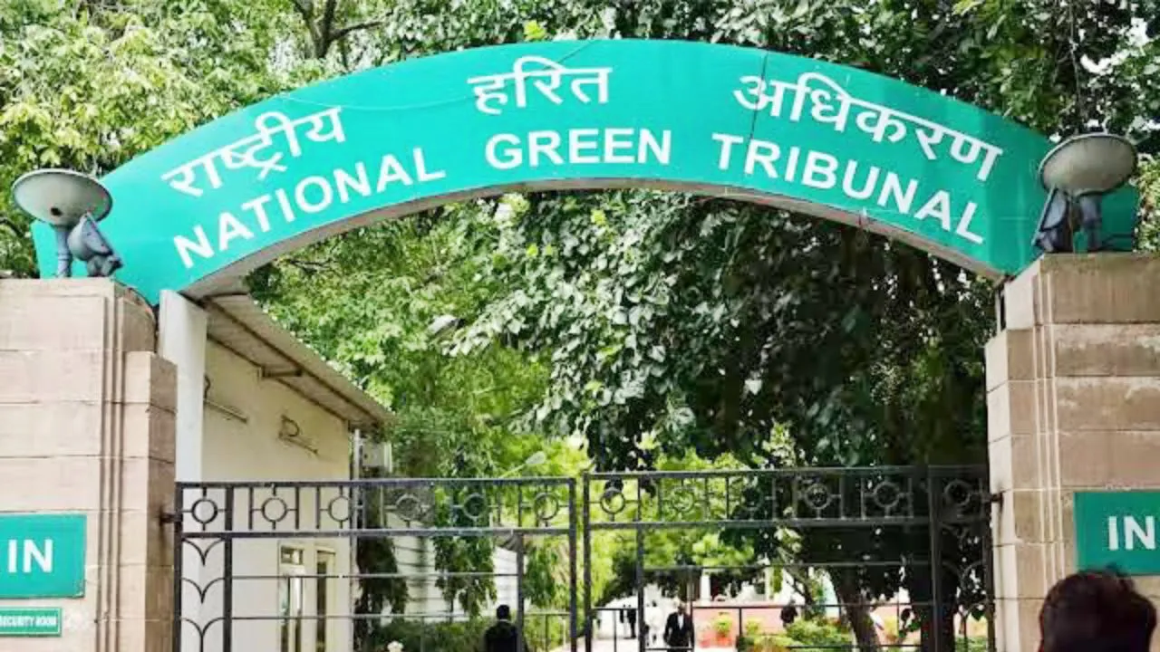 NGT: देशभर के स्कूलों में एस्बेस्टस शीट्स पर फिलहाल प्रतिबंध नहीं, NGT ने दिया बड़ा फैसला