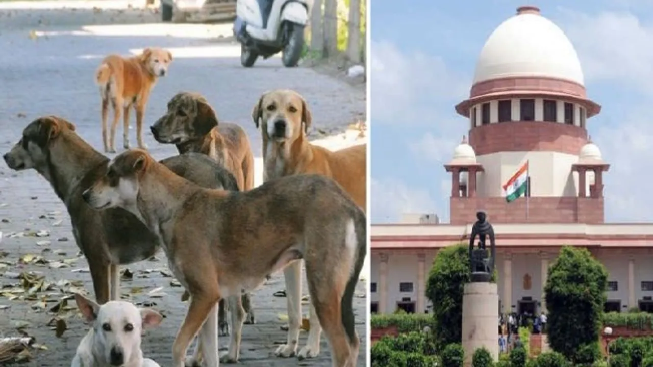 Supreme Court orders: शैक्षणिक संस्थानों और सार्वजनिक स्थलों से आवारा कुत्तों को हटाया जाएगा