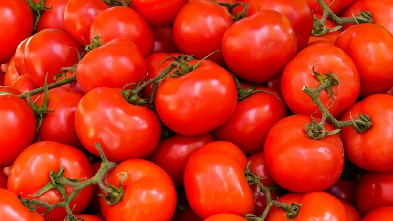 Delhi News: टमाटर 55 और प्याज 15 रुपए, जानिए कहाँ मिलेगा NCCF के जरिए रियायती दाम में आम आदमी का लाभ