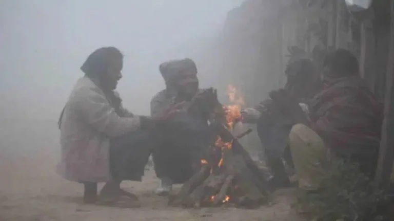 Haryana Weather: हरियाणा में ठंड और कोहरे का असर, एक्सपर्ट्स ने किसानों को कीट और बीमारी से बचाव की चेतावनी दी