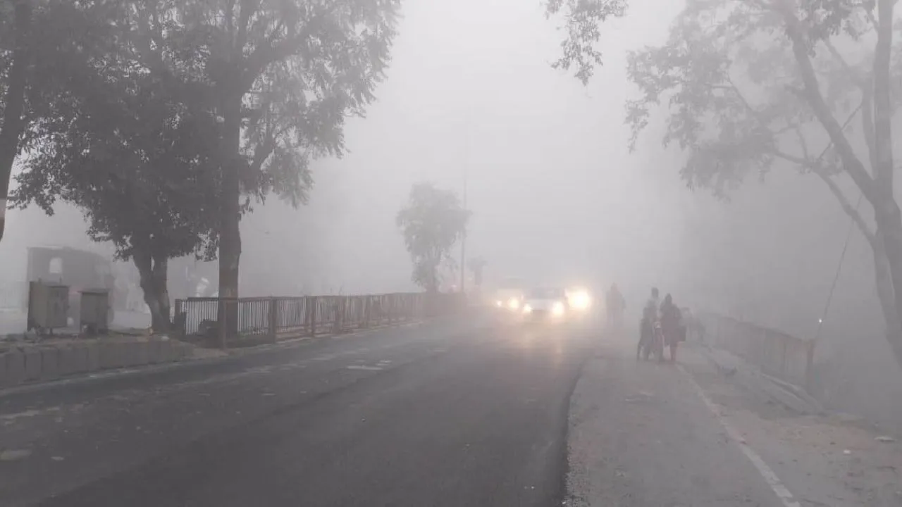 Weather Update: उत्तर भारत में ठंड का कहर बढ़ा, दिल्ली-NCR और हरियाणा में सुबह-शाम की सर्दी ने बढ़ाई गर्म कपड़ों की जरूरत