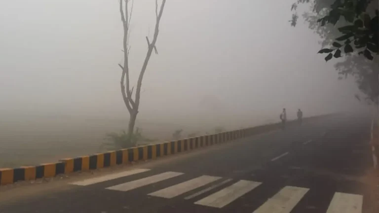 Haryana Weather: हरियाणा की हवा बनी जहर, 11 सिगरेट पीने जितना हो रहा नुकसान, 36 घंटे से बेहद खराब है हरियाणा की हवा