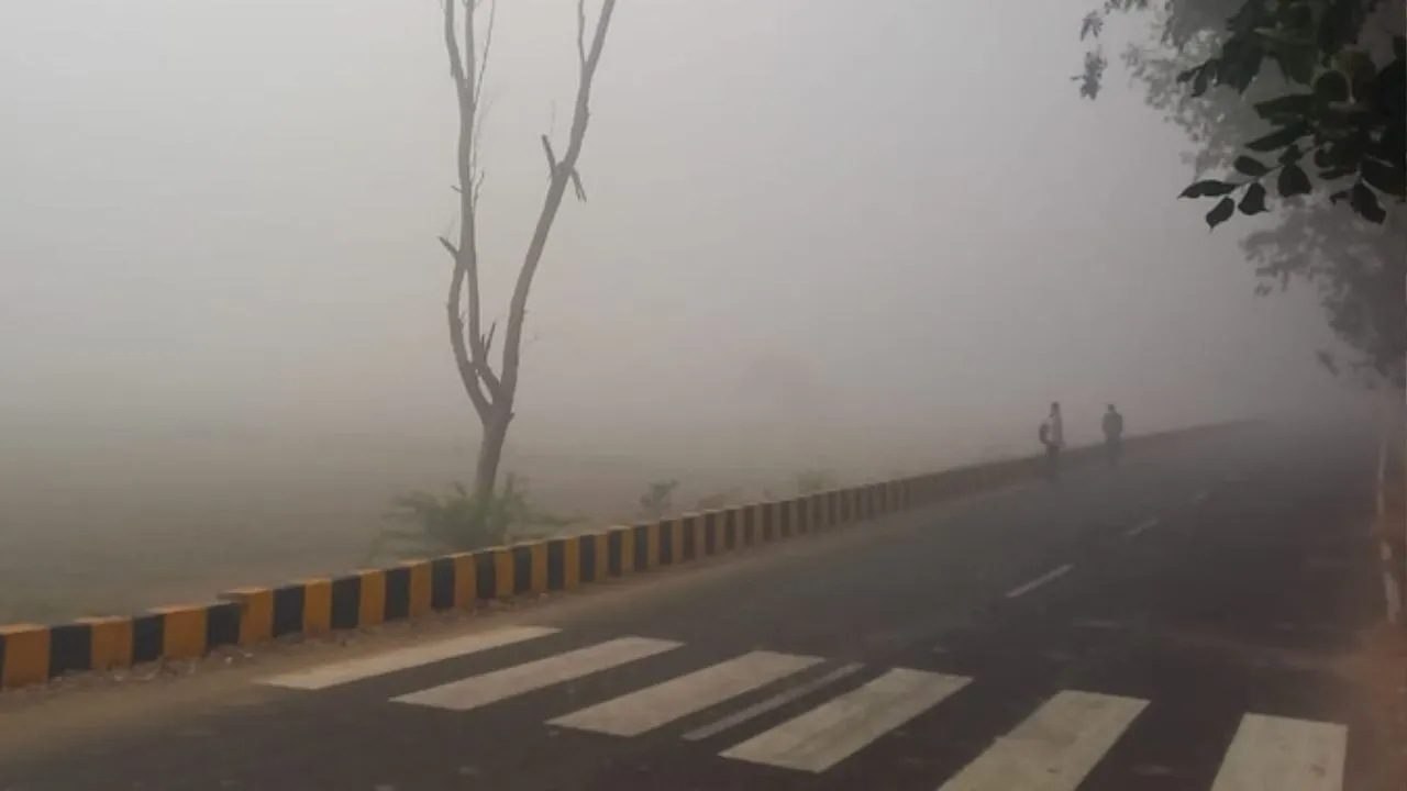 Haryana Weather: हरियाणा की हवा बनी जहर, 11 सिगरेट पीने जितना हो रहा नुकसान, 36 घंटे से बेहद खराब है हरियाणा की हवा