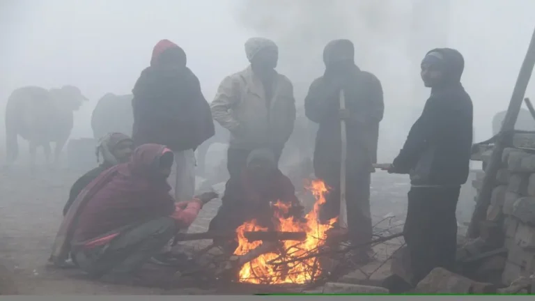 Weather Forecast: उत्तर भारत में तेज ठंड और बारिश से बढ़ेगा निवासियों का संघर्ष, जानिए प्रभावित राज्य और तापमान