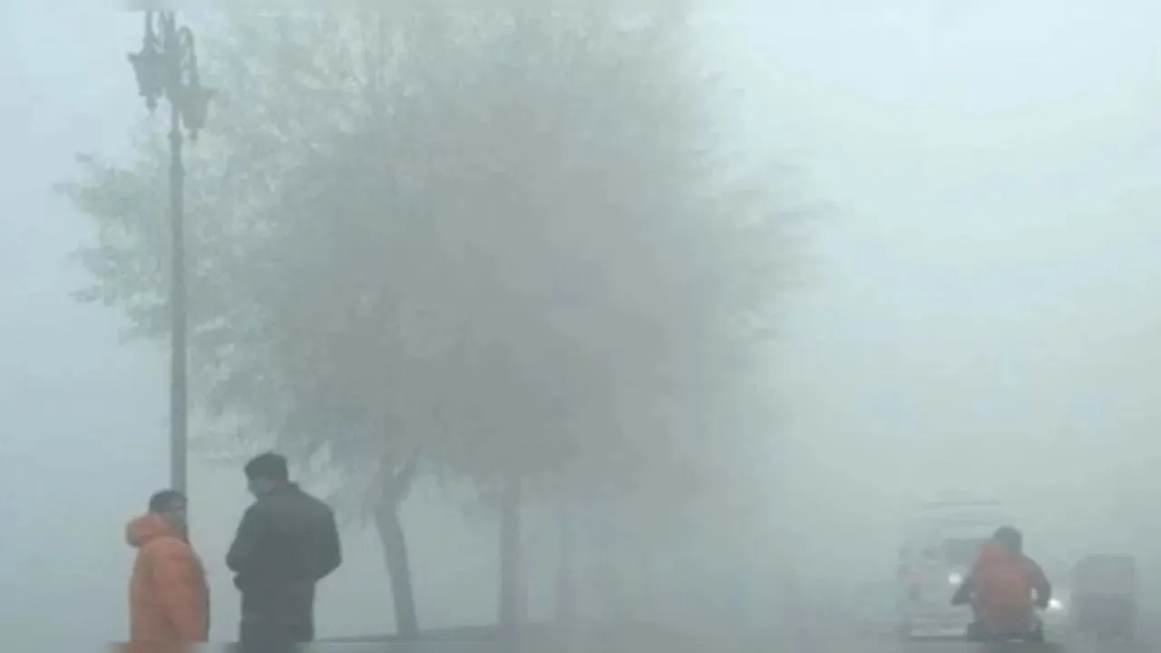 Haryana Weather: ठंडी हवाओं ने किया दस्तक, Haryana में सुबह-शाम धुंध और रात में तेजी से गिर रहे तापमान का अलर्ट