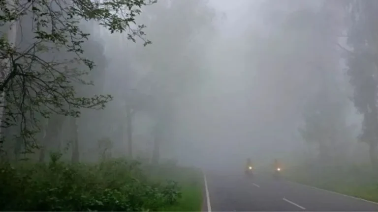 Weather Update: उत्तर में शीतलहर, दक्षिण में तूफान का तांडव! जानिए आज किस राज्य में क्या कहर बरसेगा