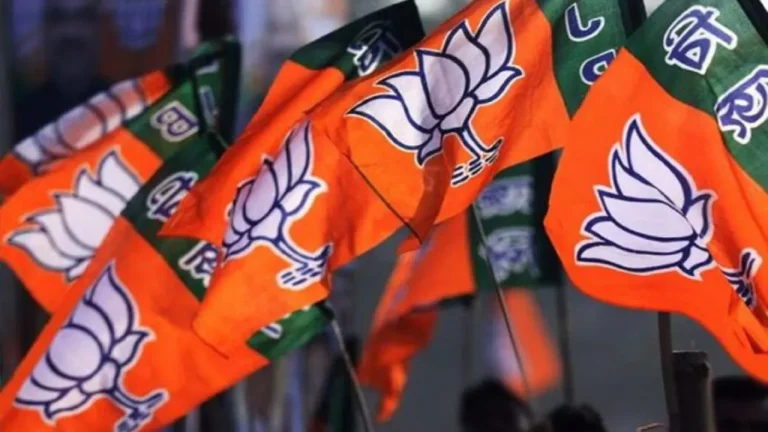 Haryana Politics: भाजपा में बड़ा बदलाव! हेमंत चौबे बने नारनौल मंडल अध्यक्ष, युवाओं में जोश दोगुना