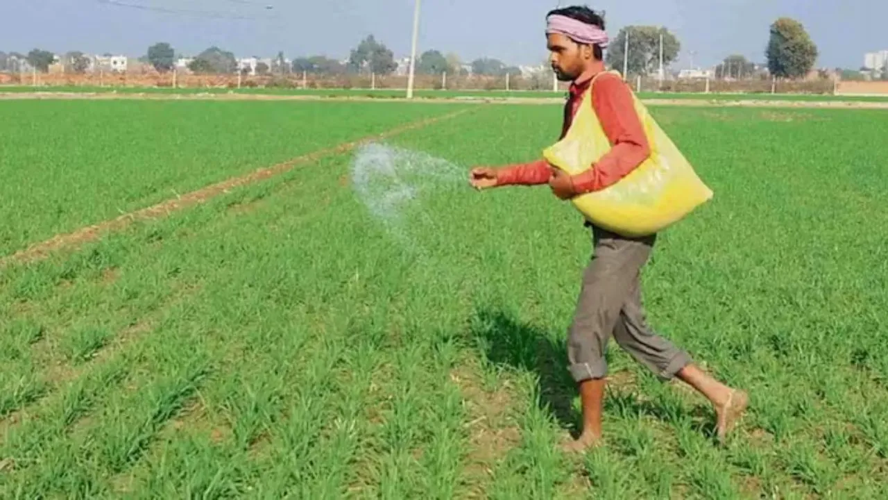 Haryana में किसानों के लिए बड़ा आदेश, खाद डीलरों को रोकने का सख्त निर्देश, अनावश्यक उत्पाद खरीदना अब गैरकानूनी