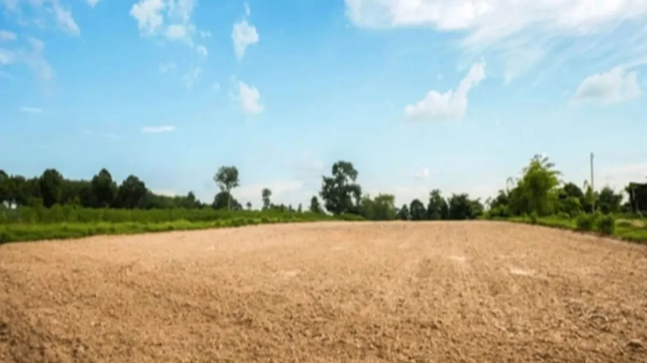 Haryana: बुढ़ेडा के किसानों ने किया जोरदार विरोध, दो अलग-अलग रेट्स से हो रहा लाखों का नुकसान