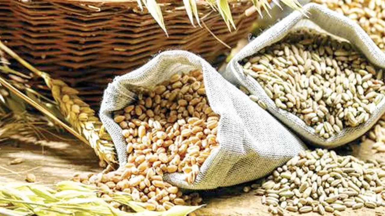 Haryana सरकार ने किया रेशन में बदलाव, BPL कार्ड धारकों को बाजरा नहीं, जानिए क्या मिलेगा