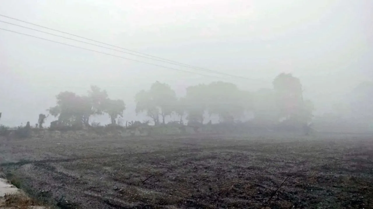 Haryana Weather: हरियाणा की हवा में सुधार, लेकिन कई शहर अब भी प्रदूषण की चपेट में