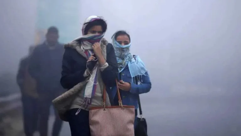Haryana Weather: हरियाणा में मौसम विभाग ने जारी किया अलर्ट, झमाझम होगी  इन जिलो में बारिश