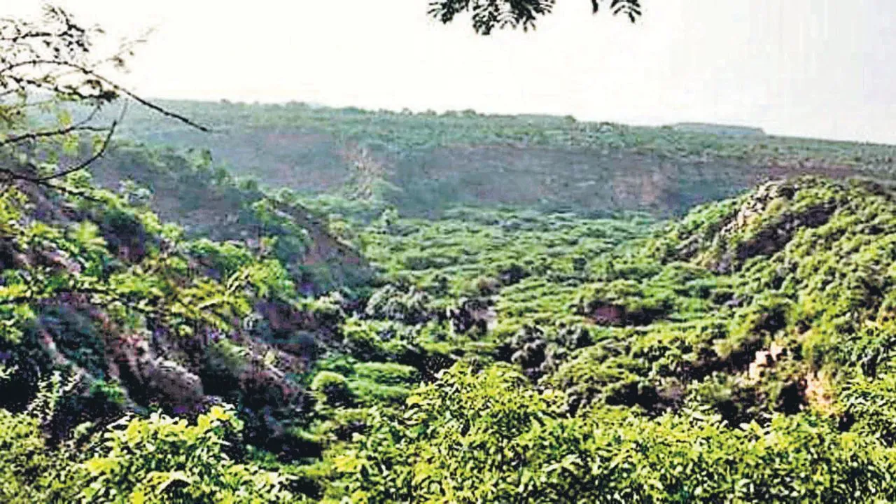 Gurugram News: अरावली पहाड़ियों से जुड़ेगा पर्यटन, भारत यात्रा केंद्र को मिलेगा इको-टूरिज्म अवतार