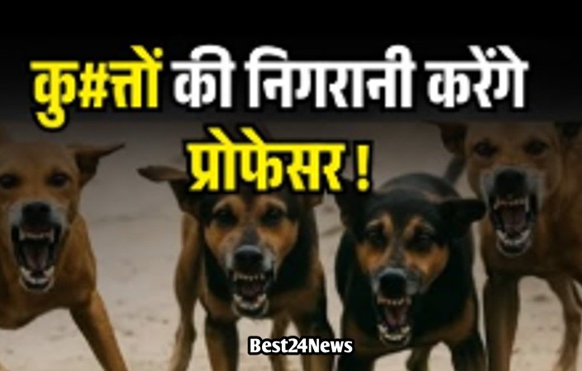 UGC ने जारी किया नया फरमान: प्रोफेसर और शिक्षक करेंगे कुत्तों की निगरानी