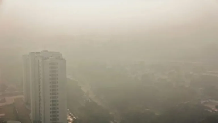 Haryana Weather Alert:  सावधान! मौसम विभाग ने इन जिलों में जारी किया रेड अलर्ट