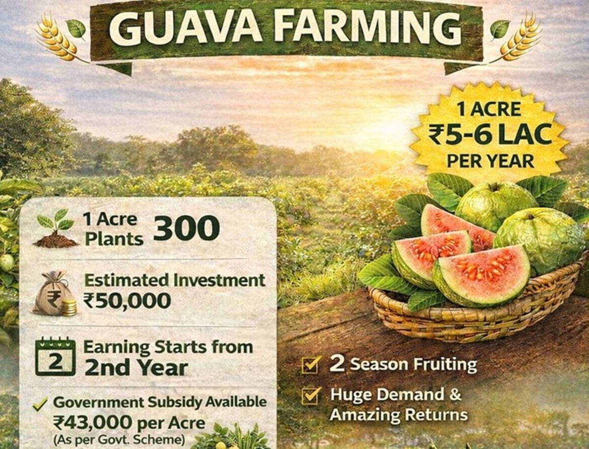 किसान भाइयों के लिए सुनहरा मौका, इस खेती पर मिलेगी 43000 हजार सब्सिडी