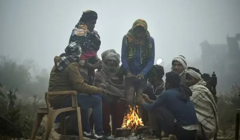 Haryana Weather News: शीतलहर ने हरियाणा में बढ़ाई ठंड, IMD का येलो अलर्ट छह जिलों के लिए जारी
