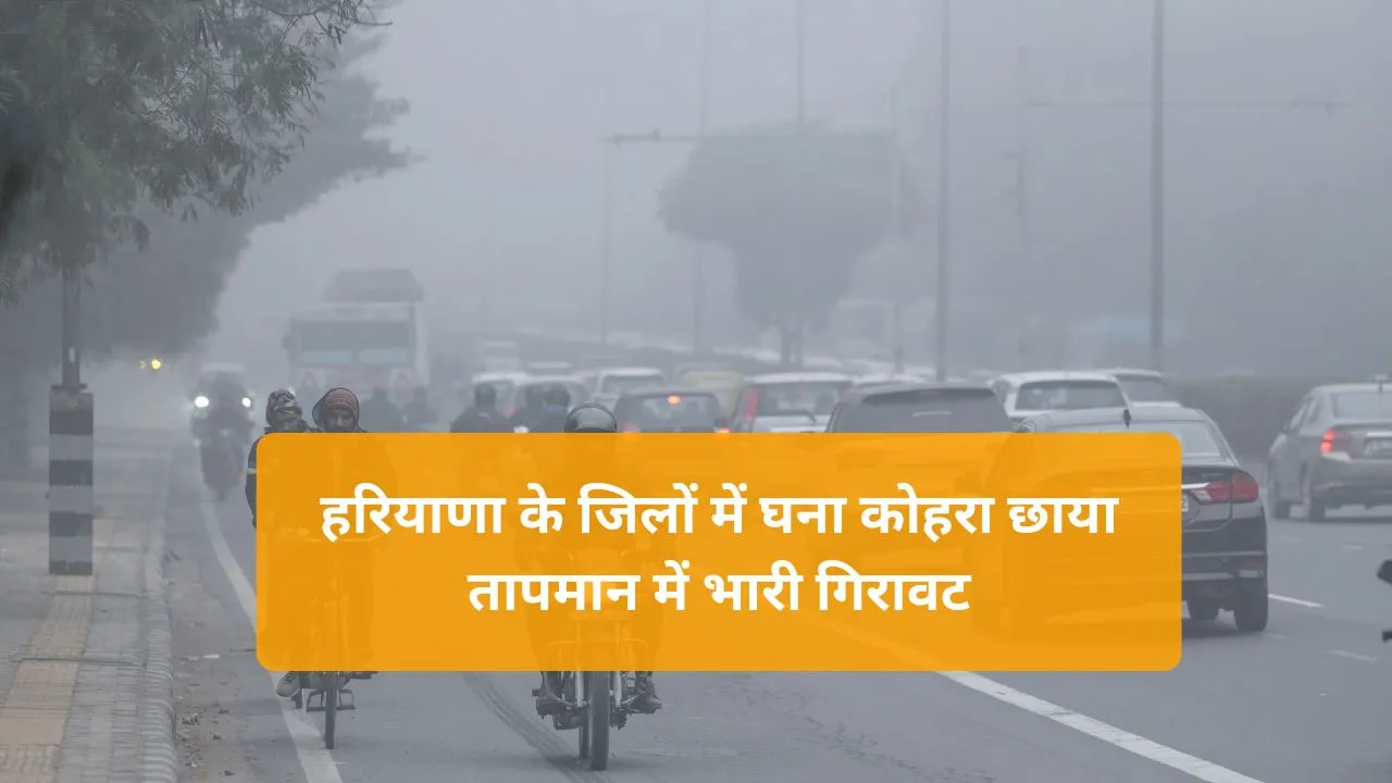 Haryana Weather News: हरियाणा के जिलों में घना कोहरा छाया तापमान में भारी गिरावट, जानिए आज के मौसम का ताज़ा हाल