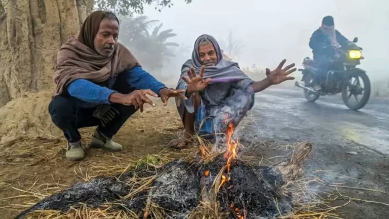 Haryana Weather News: ठिठुरन बढ़ाने आ रही बर्फी ली हवा, हरियाणा के छह जिलों में कड़ाके की सर्दी का खास अलर्ट जारी